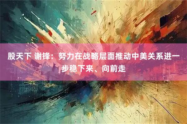 股天下 谢锋：努力在战略层面推动中美关系进一步稳下来、向前走